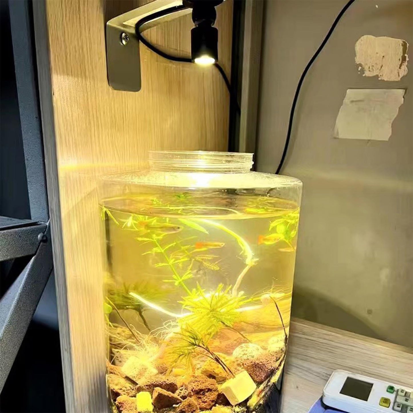 5V Dimmable LED Mini Spot Light with 6.6ft Cable, Jewelry/Indoor Picture/Art/Model Display Lights, USB Powered Spotlight for Jewelry Cabinets, Entryways, Tables Shelves (Warm White 3000K, 1 Pack)