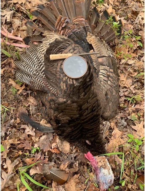 Hunters Specialties HS Strut Turkey Pot Call - American Kiln-Dried Walnut Wood | Premium Sound Quality