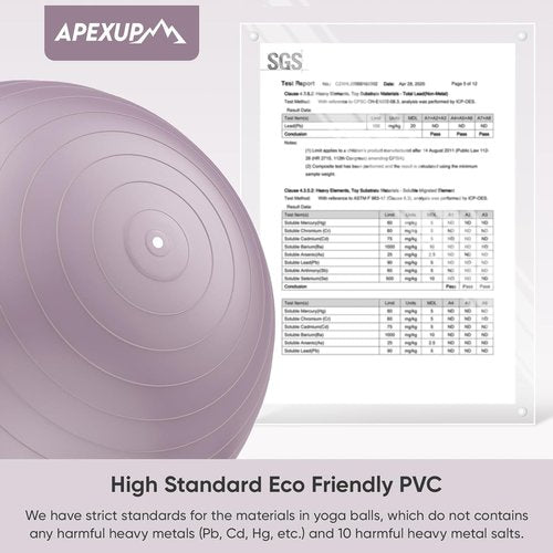 APEXUP Yoga Ball - Anti-Slip Heavy Duty Exercise Ball for Fitness & Core Training | 5 Sizes Available
