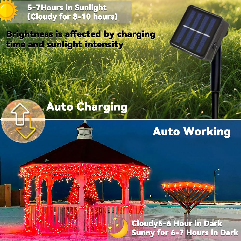 Taoushuleng Solar String Lights Outdoor with Red Light, Blackish Green Wire, 40ft 100 LED with 8 Lighting Modes for Outside,Garden,Courtyards,Trees (Red)