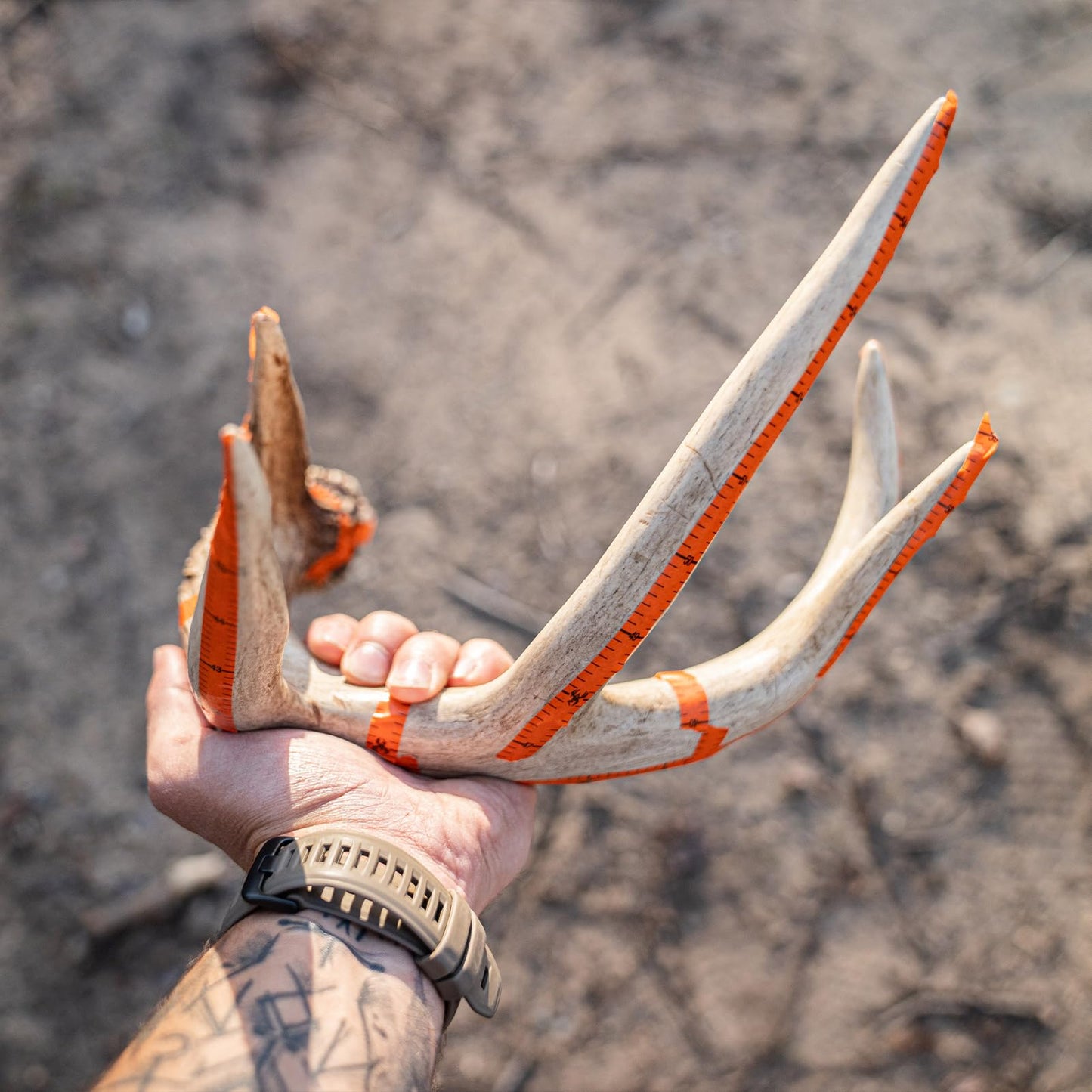 WILDGAME INNOVATIONS Trophy Tape, 3 Roll Pack | Easy-to-Remove Accurate Bright Orange 600in Adhesive Scoring Tape for Measuring Deer Antlers