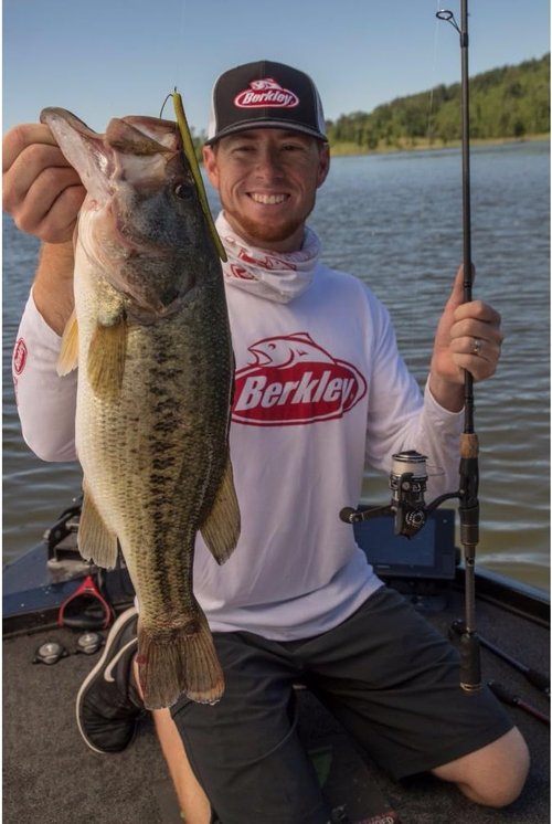 Berkley PowerBait MaxScent D-Worm | Premium Soft Plastic Fishing Lure - Versatile 6-Inch Size