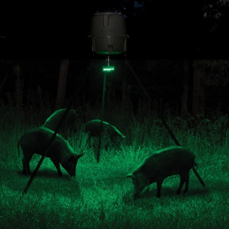 Moultrie Feeder Hog Light - 35 Green LEDs, 30-Foot Illumination, Motion/Dusk/Manual Modes, Mounts to Threaded Post Feeders