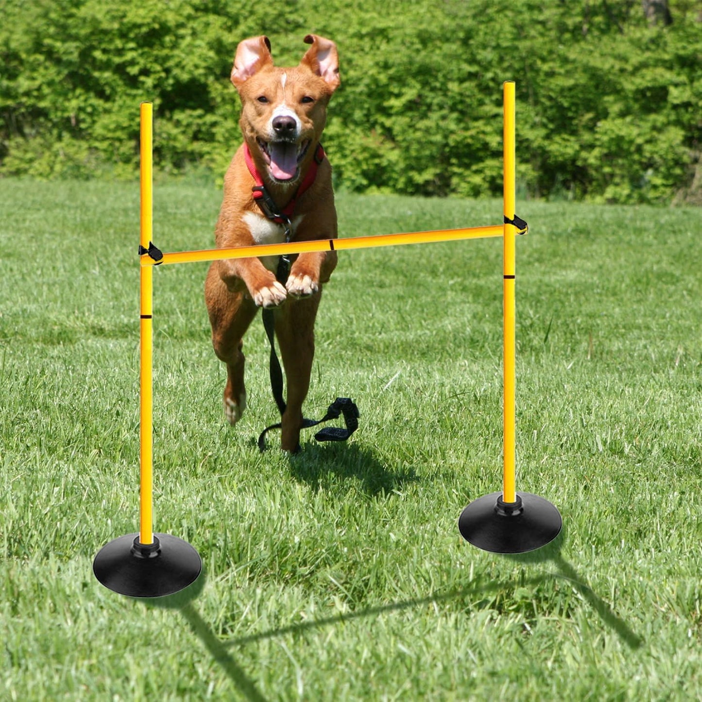 Skiennix Adjustable Height Agility Hurdle Set - Multi-Function Soccer Training Poles with Rubber Base
