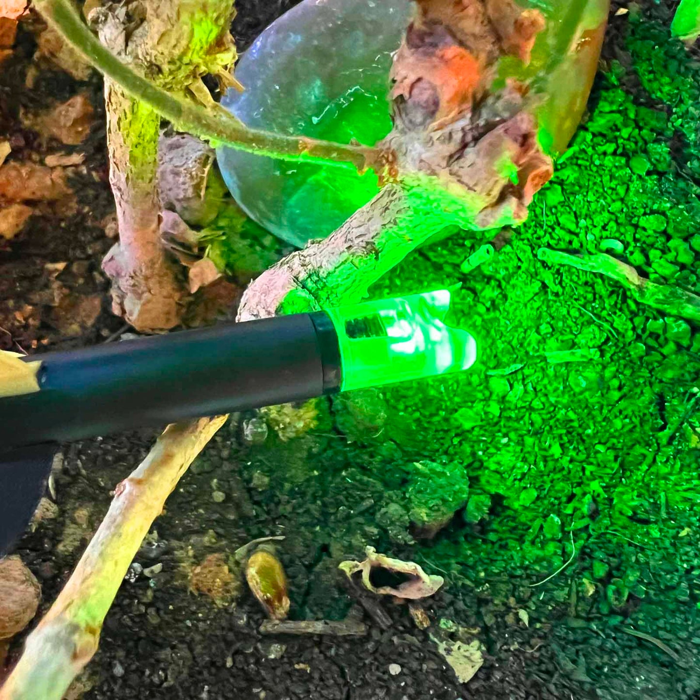 Lzwow 6PCS Lighted Nocks Universal Fit for Crossbow Bolts with .285”/.297”/.300”/.305” Bushings Half-Moon Light up Knocks (Green)