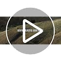 24oz Lightweight Cycling Water Bottle - Deep Fern Color