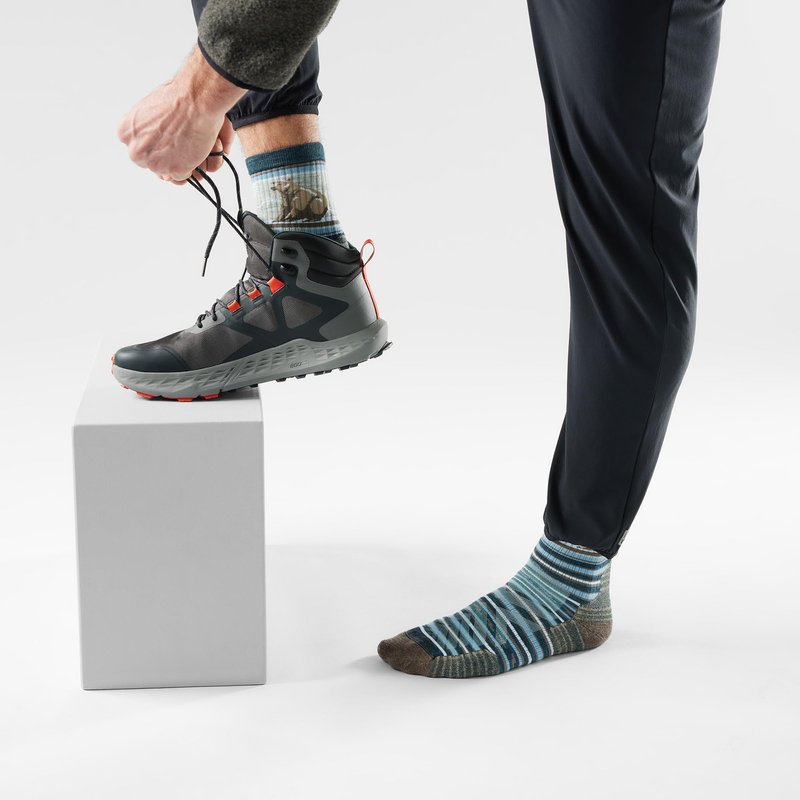 Smartwool, Men's, Hike Targeted Cushion Bear Stripe Mid Crew Socks, Twilight Blue, Large