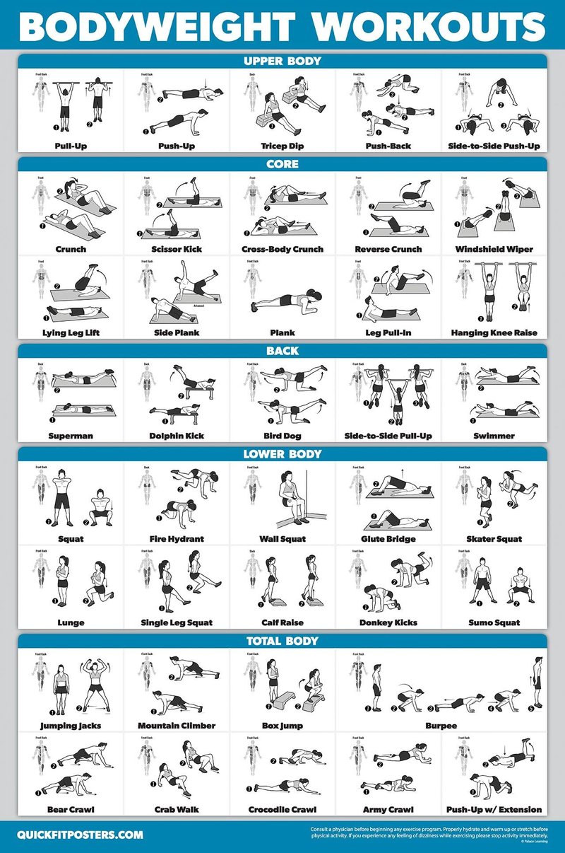 Palace Learning Dumbbell Workouts and Bodyweight Exercise Poster Set - LAMINATED 2 Chart Set - Dumbbell Exercise Routine & Body Weight Workouts (18" x 24")