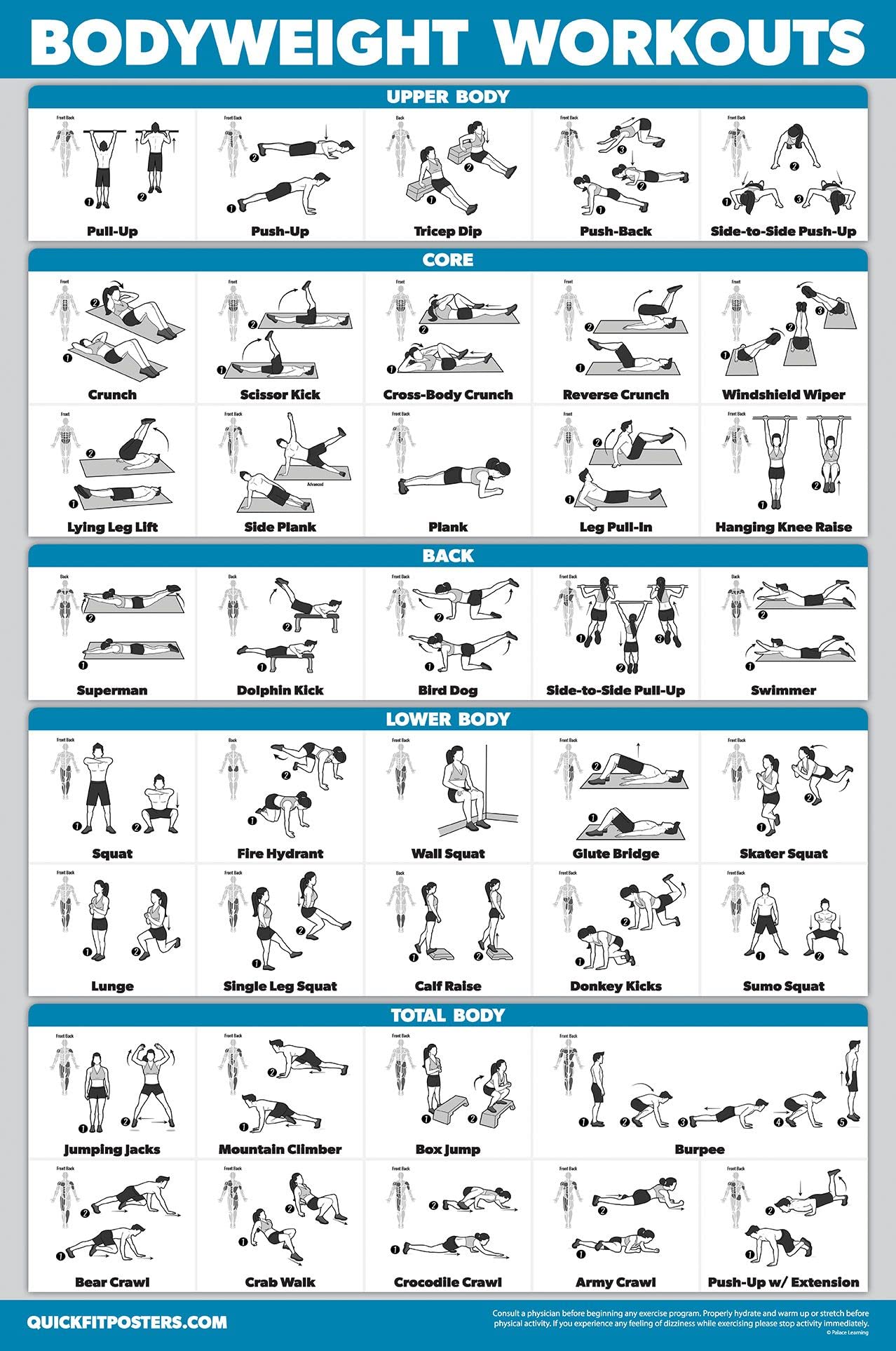 Palace Learning Dumbbell Workouts and Bodyweight Exercise Poster Set - LAMINATED 2 Chart Set - Dumbbell Exercise Routine & Body Weight Workouts (18" x 24")