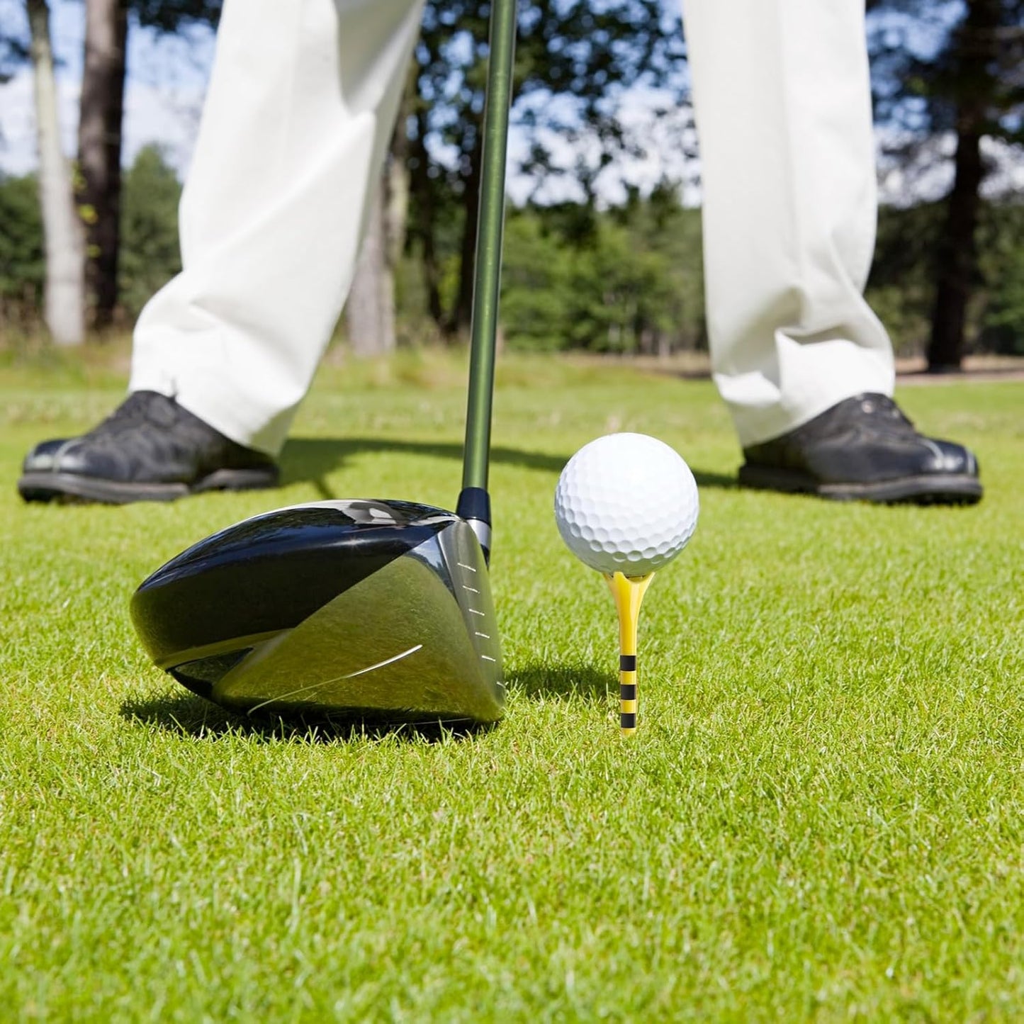 Professional Plastic Golf Tees - 100 Pack | Enhanced Durability & Stability, 3-1/4" & 2-3/4" Sizes