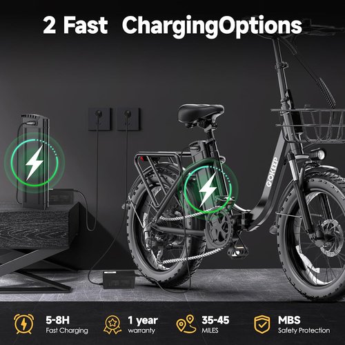 **Skiennix Electric Bike for Adults - 20" Fat Tire, 1300W Motor, 35-Mile Range, Folding Design**