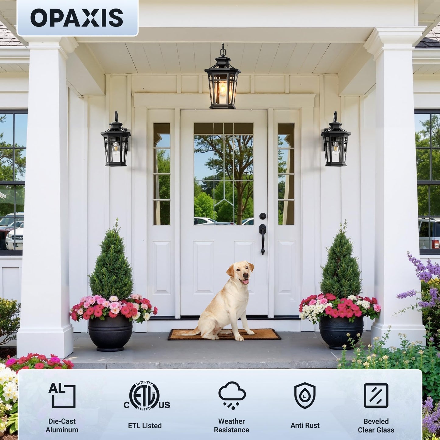 OPAXIS Large Outdoor Pendant Light Fixture, 16'' Black Exterior Hanging Lanterns with Adjustable Chain, Waterproof Outdoor Ceiling Lights for Porch, 100% Aluminum Exterior Chandelier for Gazebo, Patio