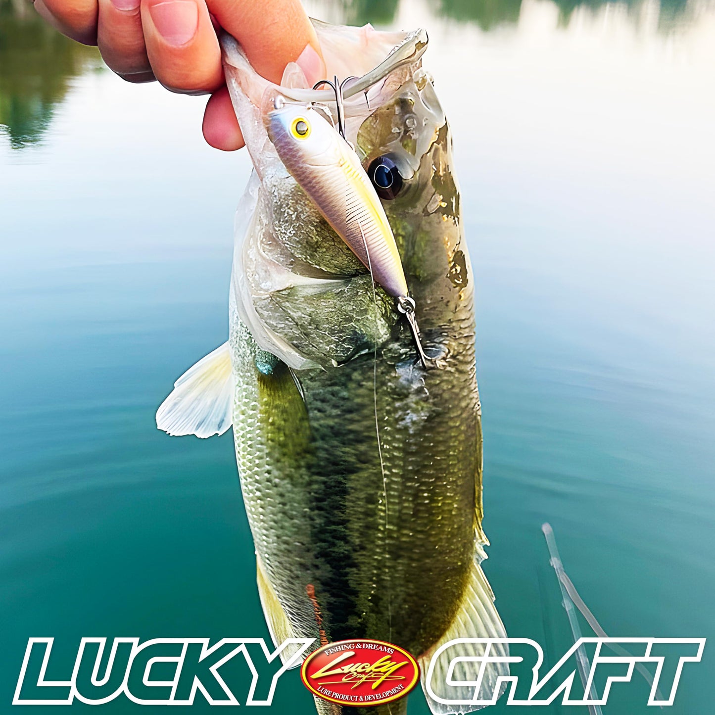 LUCKY CRAFT Pond Bass Premium Box, 7 Freshwater Fishing Lures for Pond and Lake Fish, Mystery Selection Tackle Box with Surprise Bass Lures, Fishing Gear Accessories