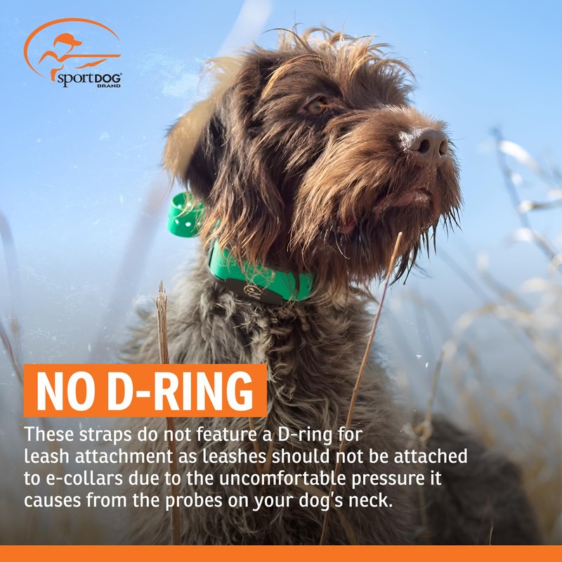 SportDOG 3/4-Inch Collar Strap - Waterproof Replacement Strap for Rugged Outdoor Use - Adjustable Collar with High Visibility - Reflective Orange