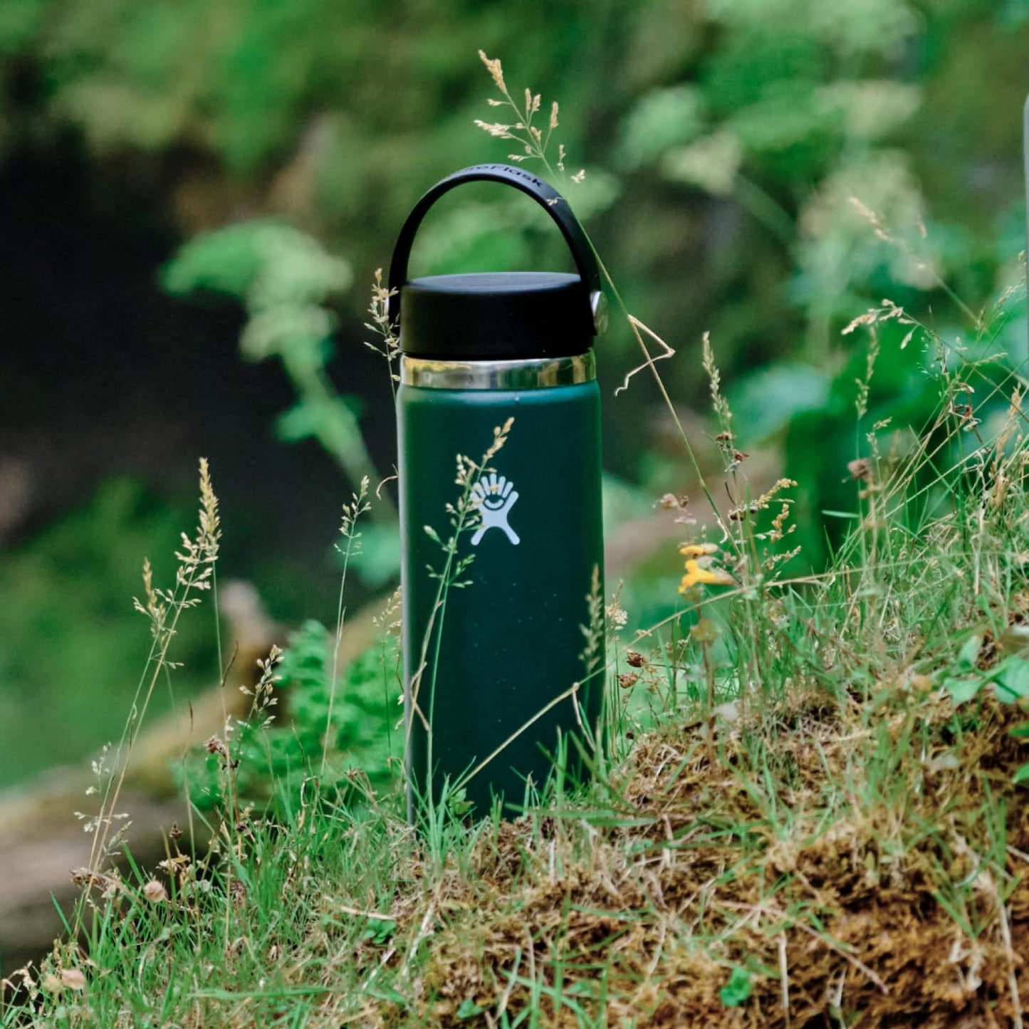 Hydro Flask Water Bottle - Insulated Stainless Steel - Wide Mouth Flex Lid, Non Spill, Leakproof and Refillable in 20 Oz Aloe Green