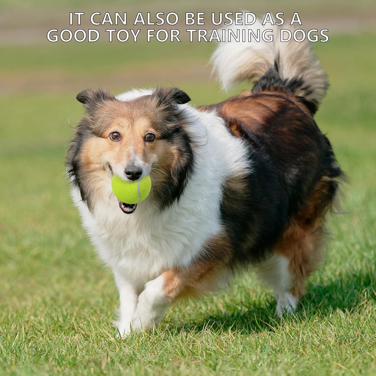 SHYUJAJIE Tennis Balls - 20 Pack High Elasticity Training Balls for Beginners & Pets