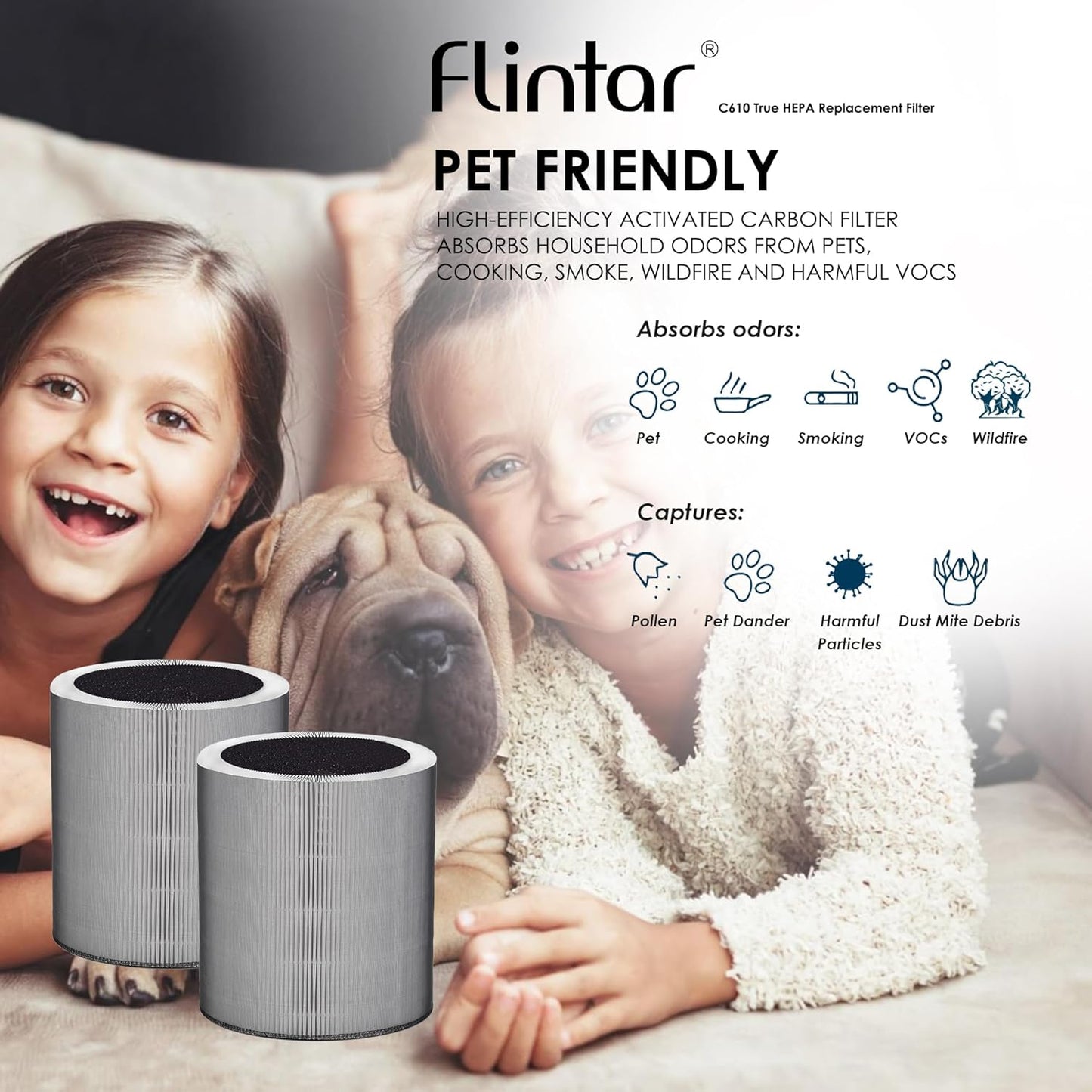 Winix C610 Air Purifier Replacement Filter Z - 2-Pack Compatible with Model 1712-0121-00