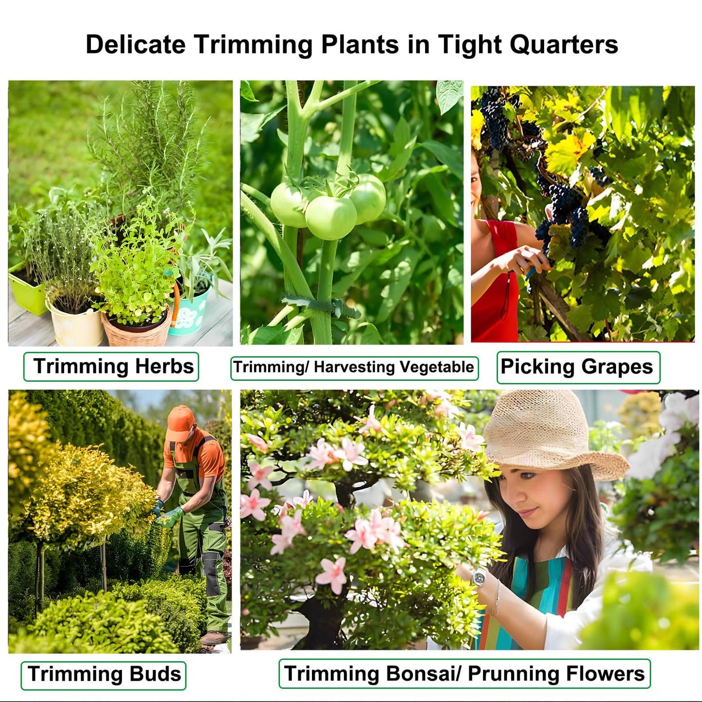 BEoffer 4 Pack Pruning Shears, 6.5 Inch Garden Scissors Gardening Hand Pruning Snips with Straight Stainless Steel Precision Blades for Gardening Flower Plant Precise Trimming and Pruning Maintenance