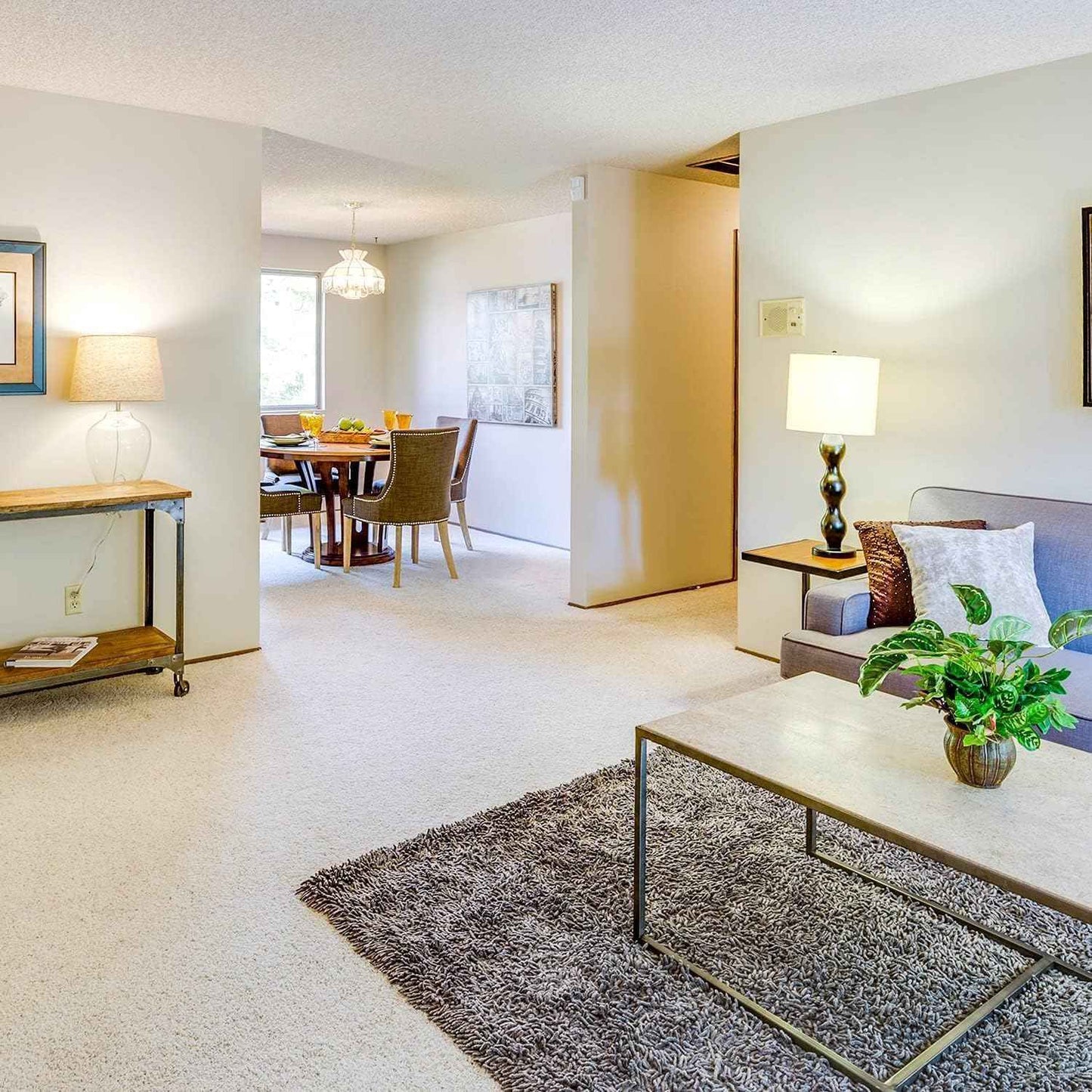 BR30 LED Bulbs 36-Pack - 65W Equivalent, 5000K Daylight, Dimmable, Flicker-Free, Energy Efficient E26 Base