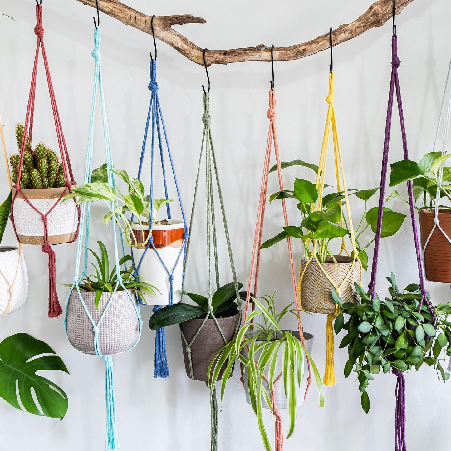 MECCANIXITY 1/8 Inch Polypropylene Rope Braided Ropes, 328ft Nylon Rope Hollow Utility Cord String for Clothesline, Camping, Hiking, Outdoor, White