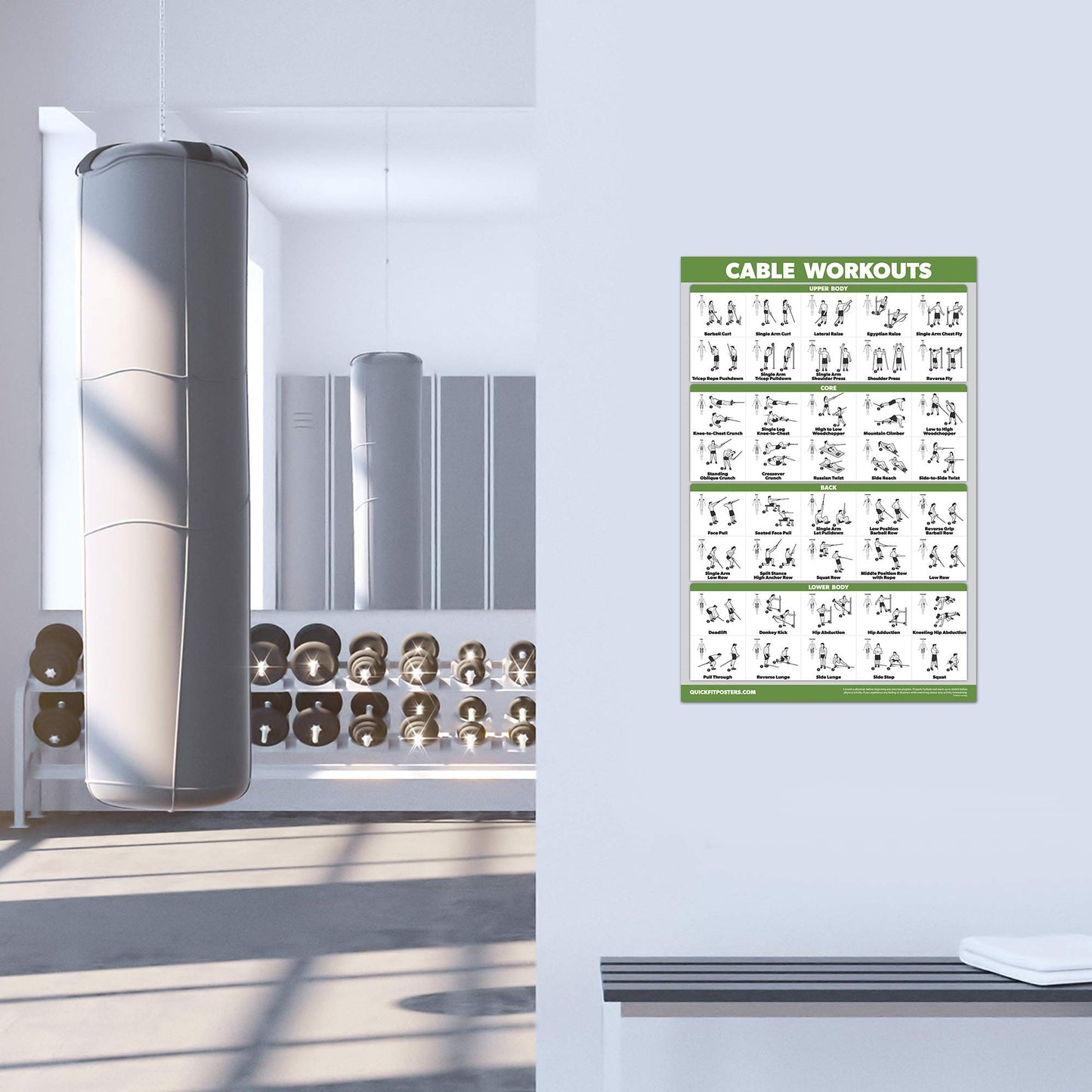 Palace Learning 2 Pack: Dumbbell Workout Poster + Cable Machine Exercise Routine - Set of 2 Workout Charts (LAMINATED, 18" x 24")