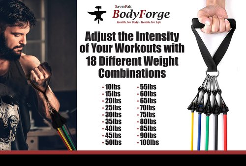 BodyForge Resistance Bands, Exercise Bands,Resistance Bands for Working Out, Work Out Bands with Handles for Men and Women Fitness, Strength Training Home Gym Equipment $averPak (1 Pack)
