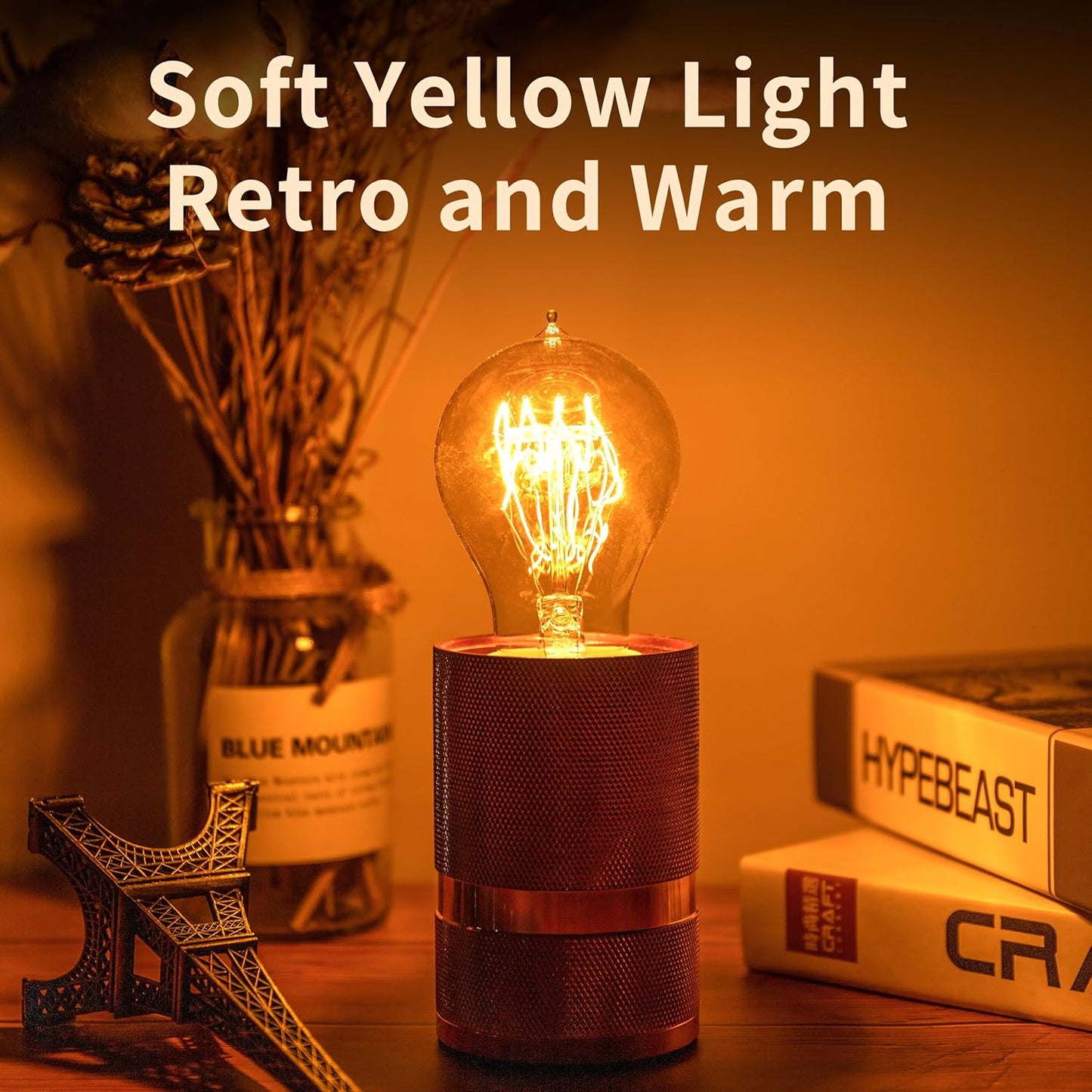 60W Vintage Edison Light Bulbs - A19/A60 Soft Amber Dimmable Bulbs, 12 Pack