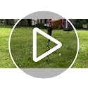 Trampoline Ground Anchors with Strong Straps - Black, 4 Pack