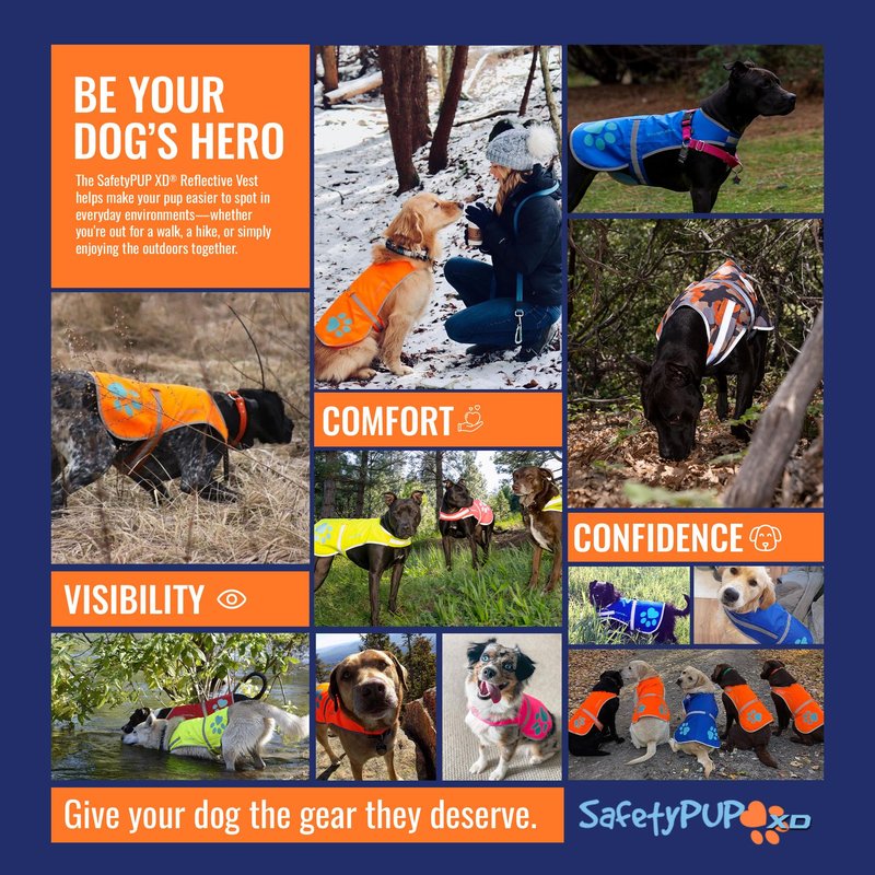 SafetyPUP XD Dog Reflective Vest – Hi-Vis Fluorescent Visibility that Helps to Safeguard Your Pet On/Off Leash in Urban & Rural Areas (Teal, Large)