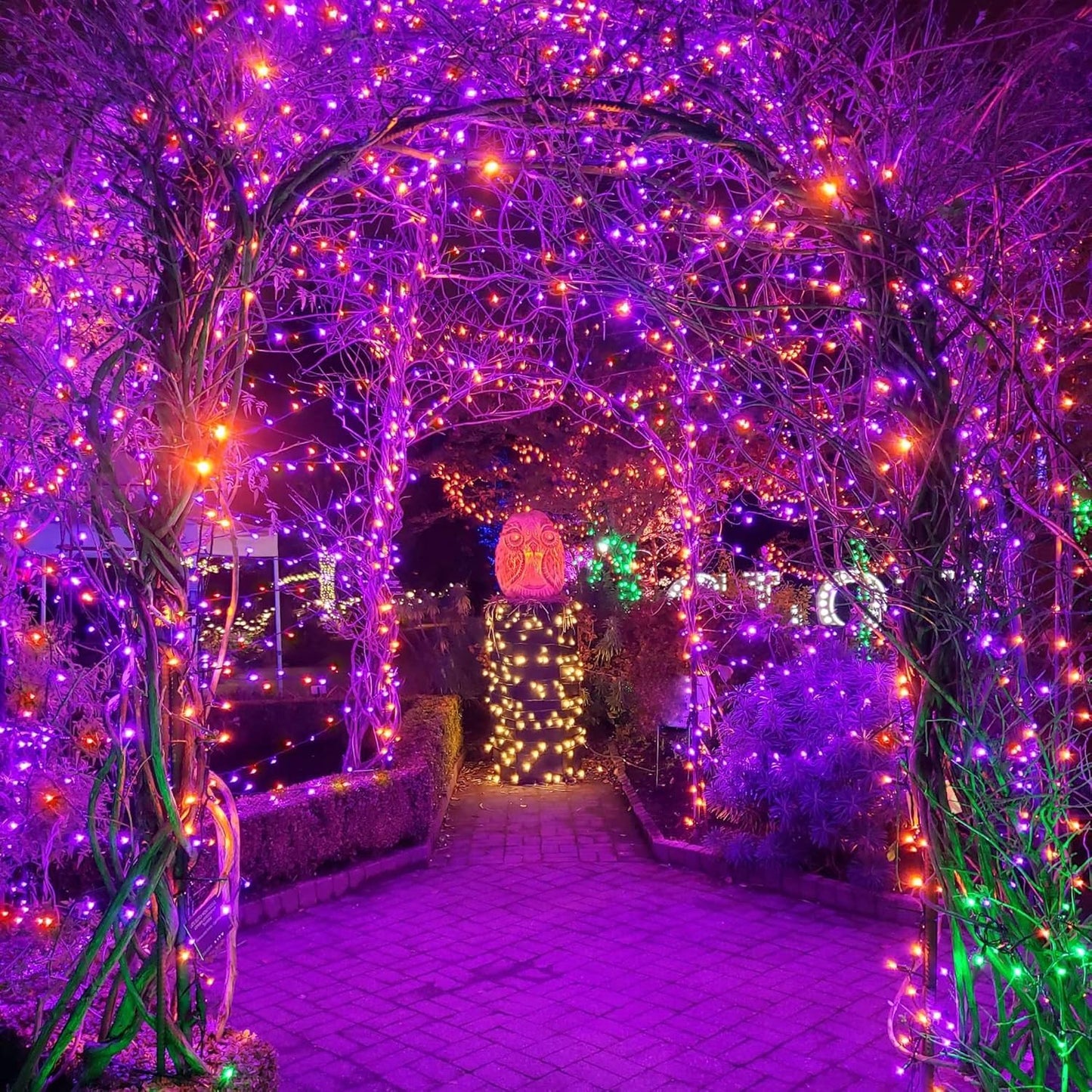 500 LED Christmas String Lights - 164 FT Waterproof RGB Fairy Lights with Remote & Timer for Indoor/Outdoor Holiday Decor