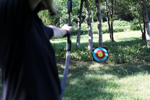 LWANO 20'' High-Density Foam Archery Target - Ideal for Backyard Practice & Training