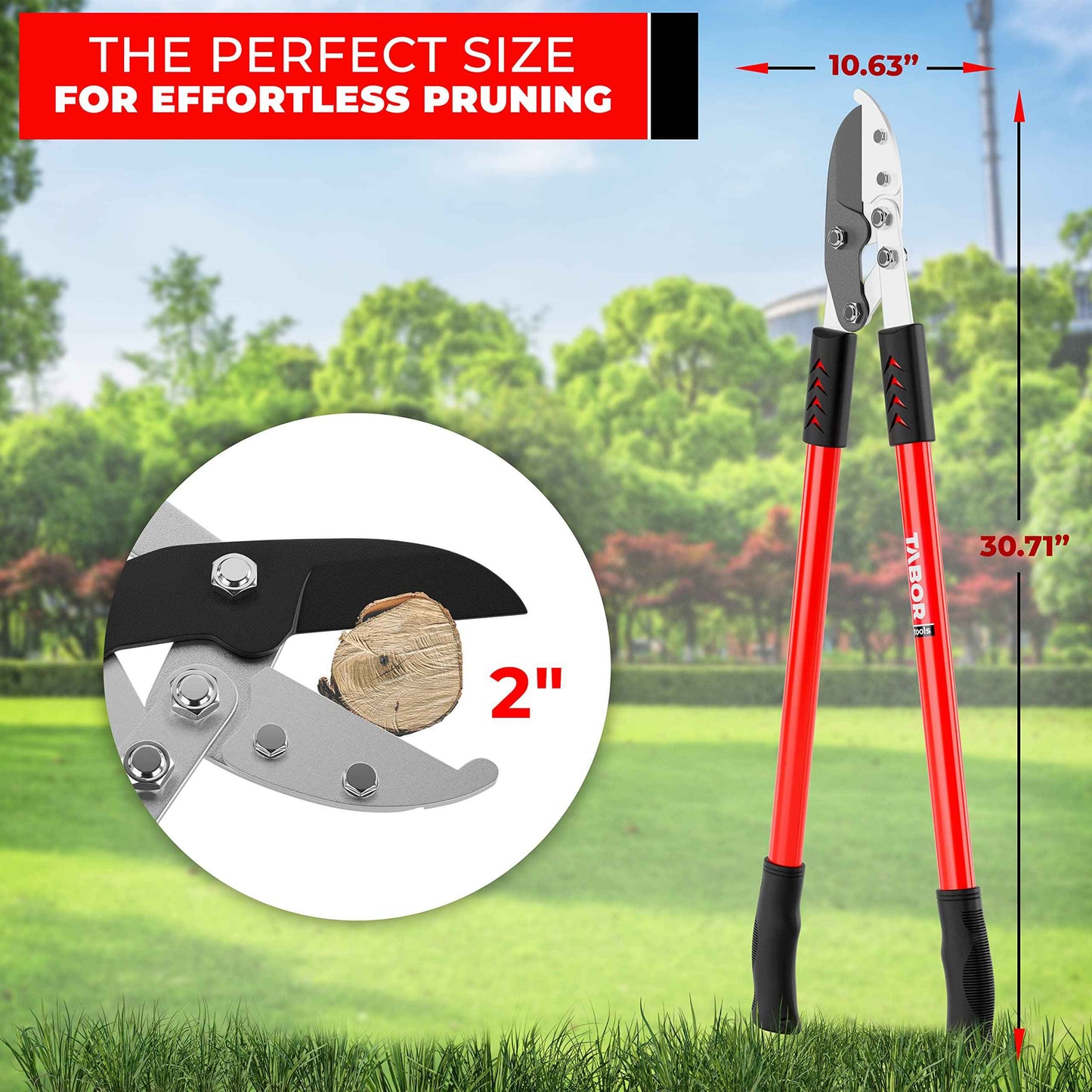 TABOR TOOLS GG12A Anvil Lopper with Compound Action, 30 Inch Tree Trimmer, Thick Branch Cutter with ⌀ 2 Inch Cutting Capacity, Chops Thick Branches with Ease.