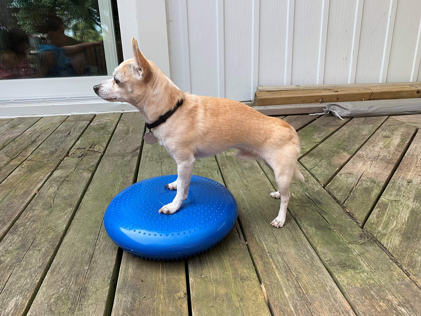 DEZAL Dog Balance Disc Cushion 14" - With 2 Exercises and Pump - Dog rehab Exercise Strength Endurance Conditioning Fitness Flexibility Rehabilitation Physical Training Tool for Senior Dogs