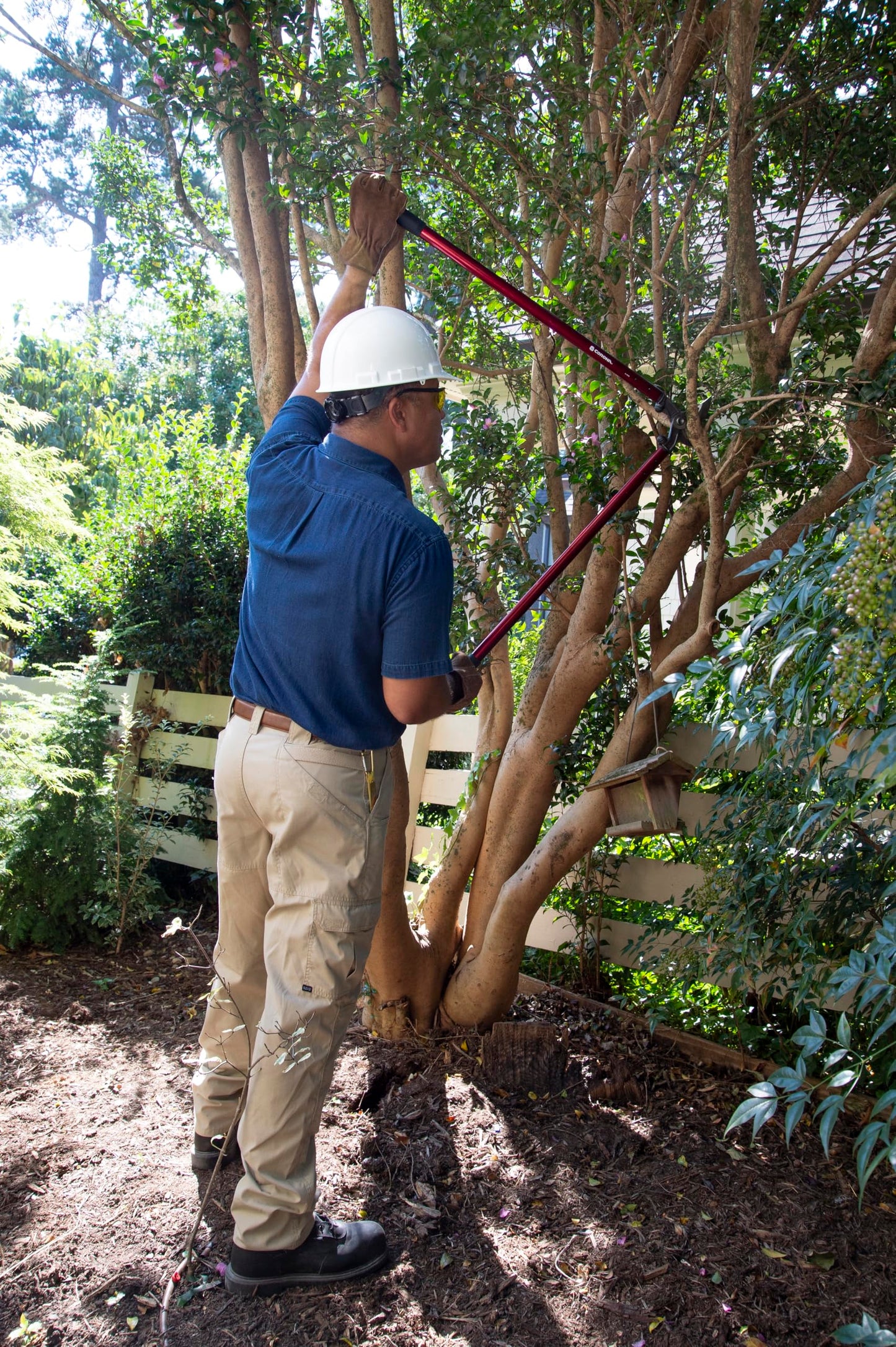 Corona Tools | 36-inch Branch Cutter MAXFORGED Orchard Loppers | Tree Trimmer Cuts Branches up to 2 ¼-inches in Diameter | AL 8482, Red