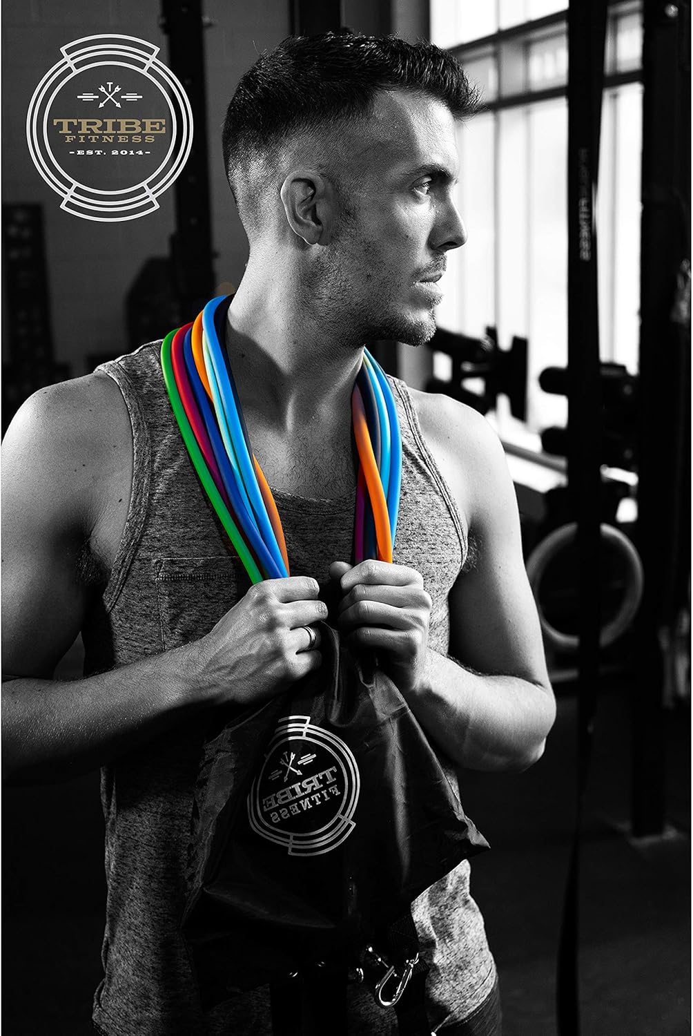 Skiennix Resistance Bands Set - Versatile Fitness Bands for Strength Training & Physical Therapy | All Levels