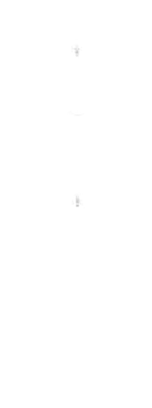 Birchwood Casey 22 RIMFIRE AR500 1/4" GONG Target Set