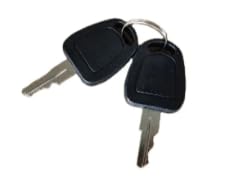EZGO Golf Cart Replacement Keys - RXV (1982-2009) - 2 Pack