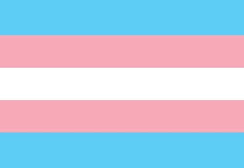 Transgender Pride Flag Decal - 4x6 All Weather Vinyl Sticker