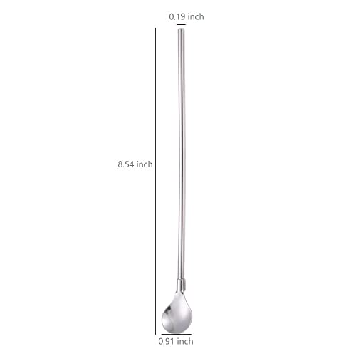 Reusable Stainless Steel Straws & Spoon Set - 6 Pieces Circular