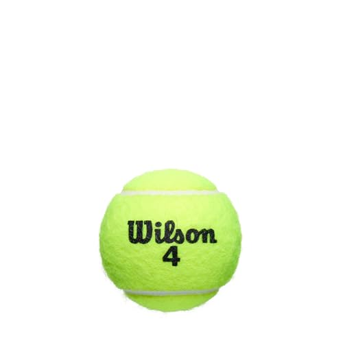 Clay Tennis Balls - Wilson Roland Garros 3 Ball Can - Yellow