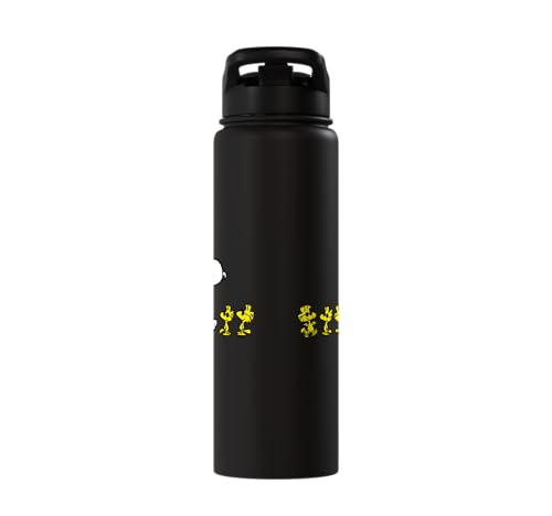Peanuts Snoopy & Woodstock 30oz Insulated Stainless Steel Water Bottle - Black