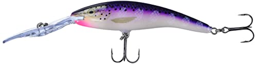 Rapala Deep Tail Dancer 11 Fishing Lure - Purpledescent 4.375-inch
