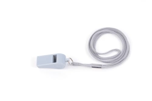 Loud ABS Sports Referee Whistle with Lanyard - 2 Pack - Gray