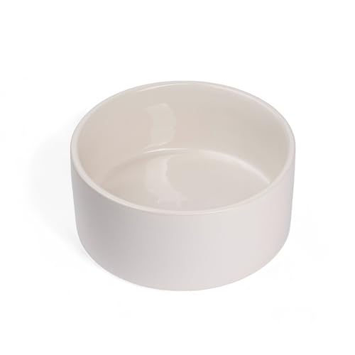 University of Michigan Ceramic Pet Bowl - NCAA Team Color
