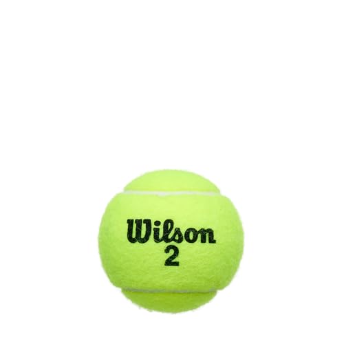 Championship Tennis Balls - Extra Duty - Single Can (3 Balls)