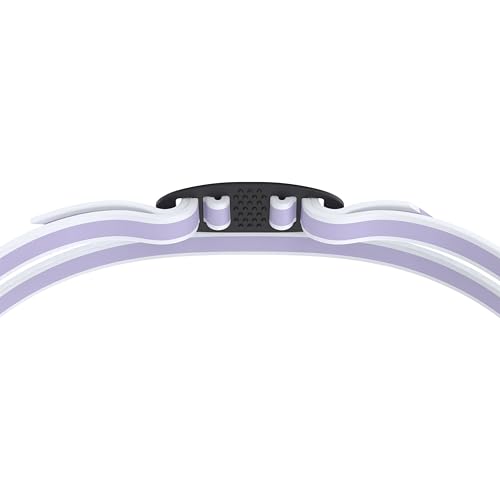 Speedo Women's Mirrored Vanquisher Swim Goggles - Purple Haze/Iris/Silver, Anti-Fog UV Protection