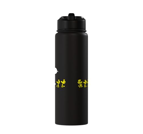 Peanuts Snoopy & Woodstock 30oz Insulated Stainless Steel Water Bottle - Black