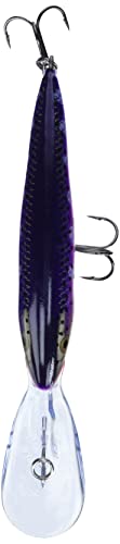 Rapala Deep Tail Dancer 11 Fishing Lure - Purpledescent 4.375-inch