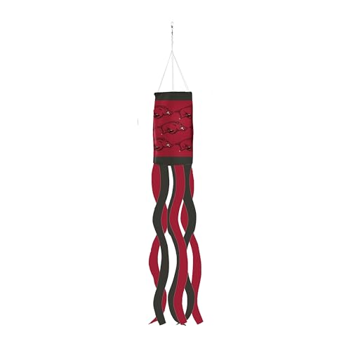 Arkansas Windsock - University of America