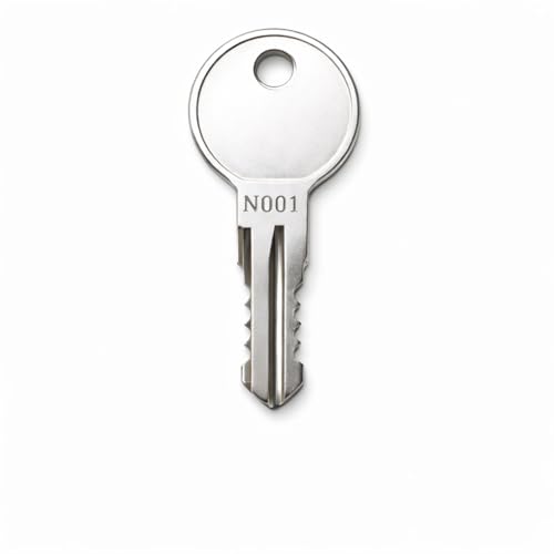 Thule N105 Replacement Keys - 2-Pack with Removal Key D1251